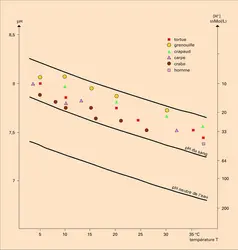 Variation du pH extracellulaire chez des animaux poïkilothermes - crédits : Encyclopædia Universalis France