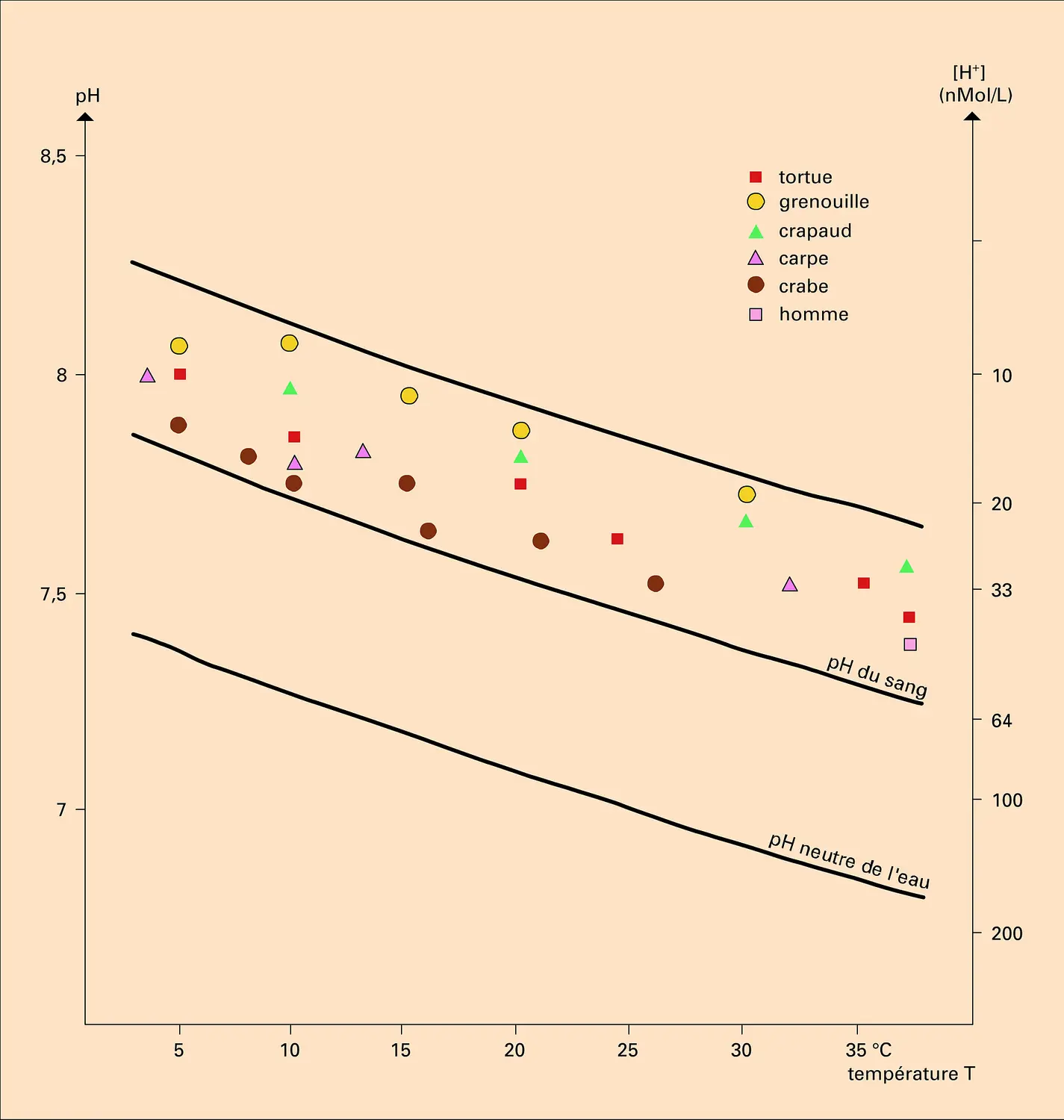 Variation du pH extracellulaire chez des animaux poïkilothermes