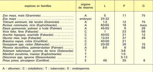 Lipides, protéines et glucides de végétaux - crédits : Encyclopædia Universalis France