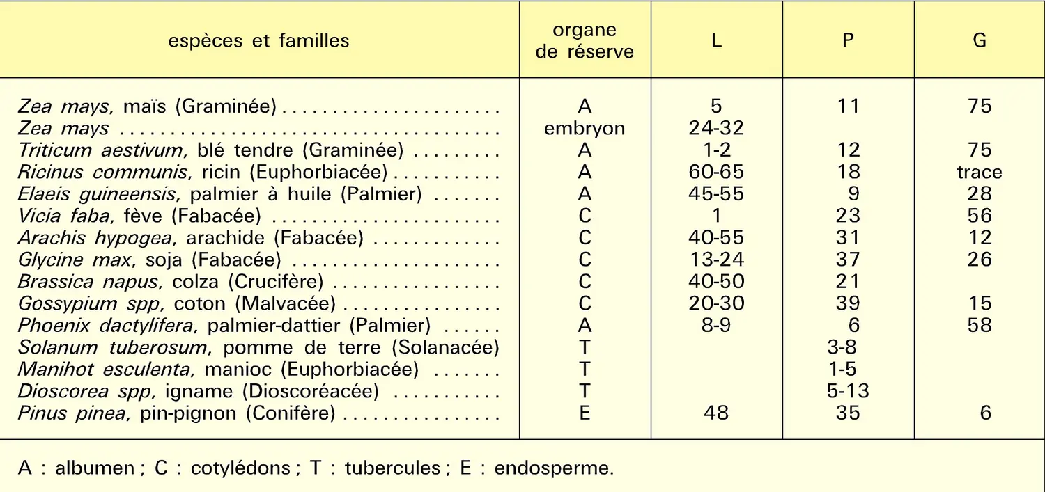 Lipides, protéines et glucides de végétaux