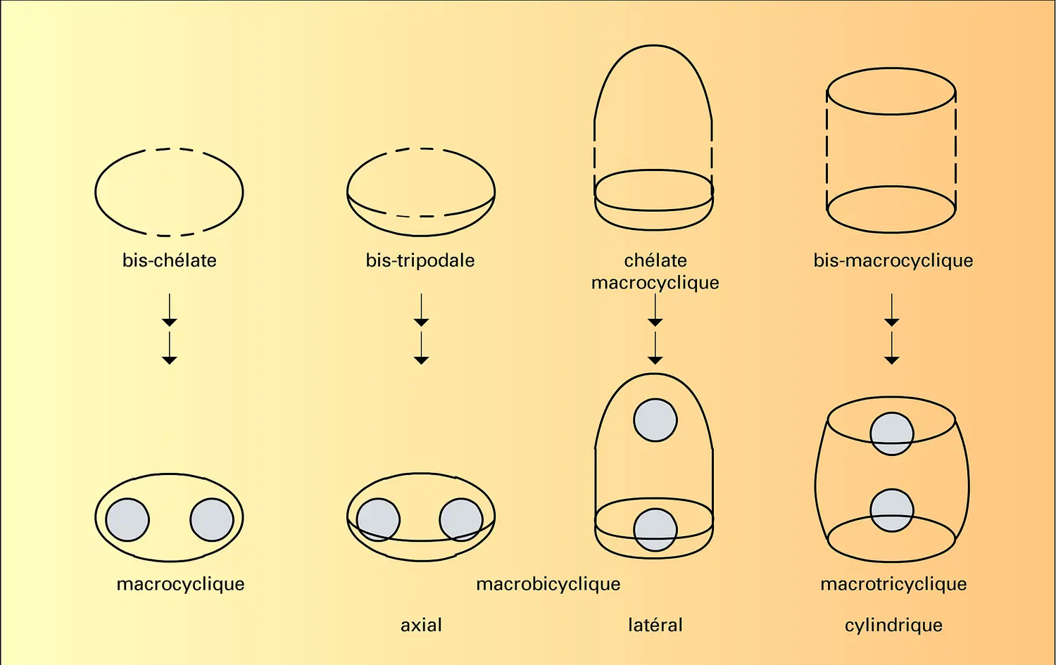 Cryptates dinucléaires