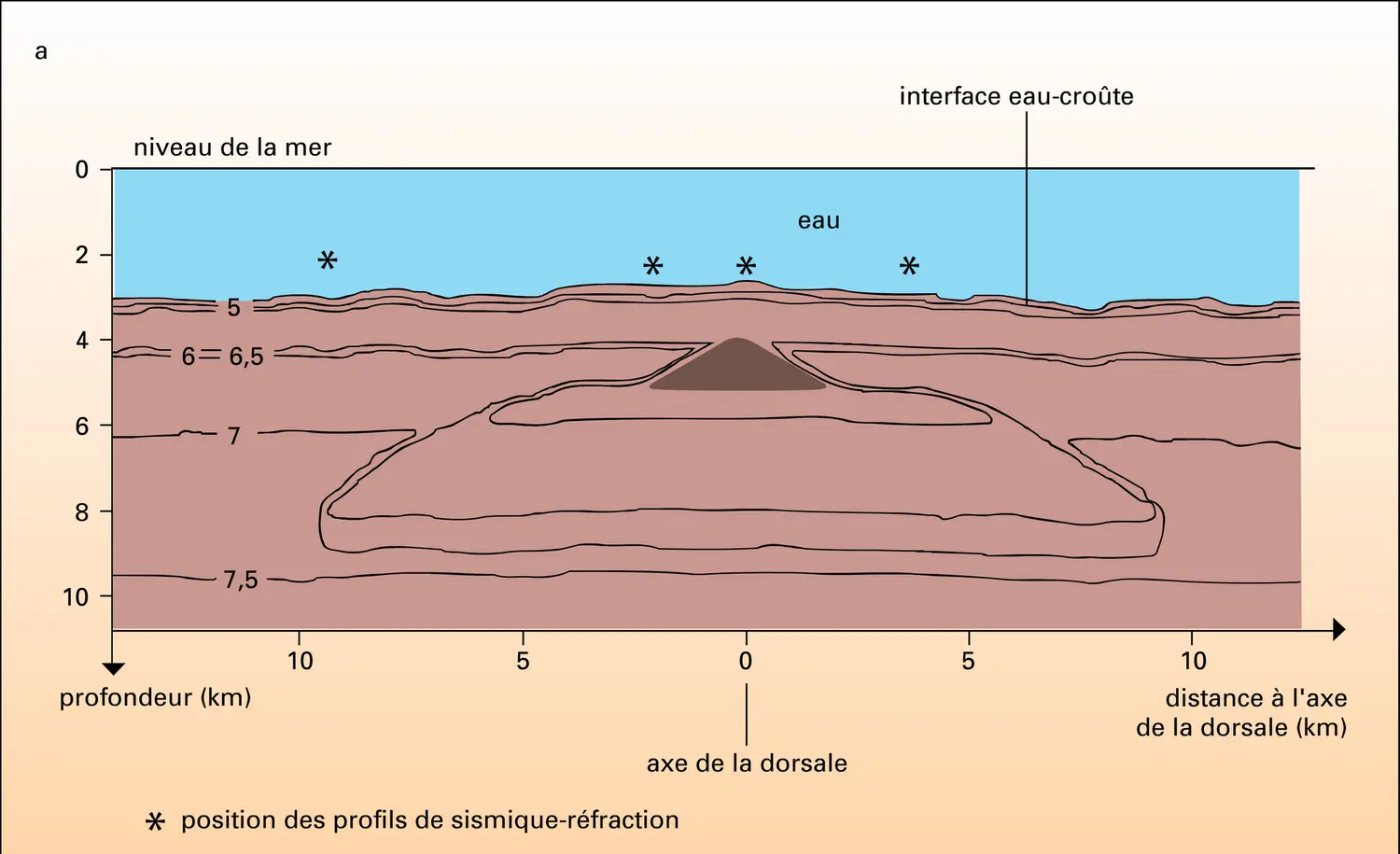 Chambre magmatique de la dorsale du Pacifique est - vue 1