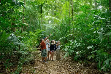 Écotourisme, Costa Rica - crédits : Martin Shields/ Alamy/ Hemis