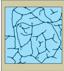 Formation d'un gel - crédits : Encyclopædia Universalis France