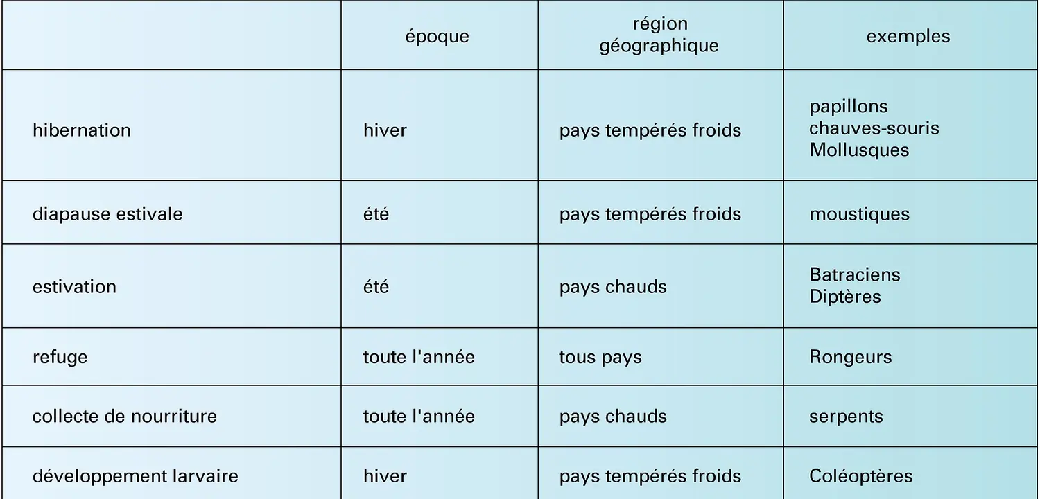 Motifs de pénétration dans les cavernes