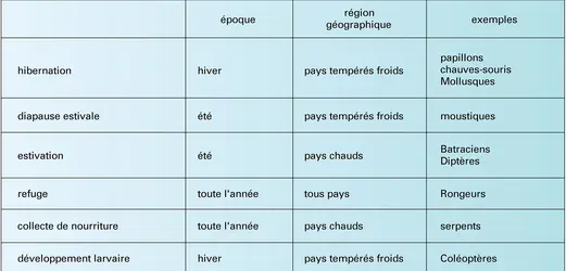 Motifs de pénétration dans les cavernes - crédits : Encyclopædia Universalis France