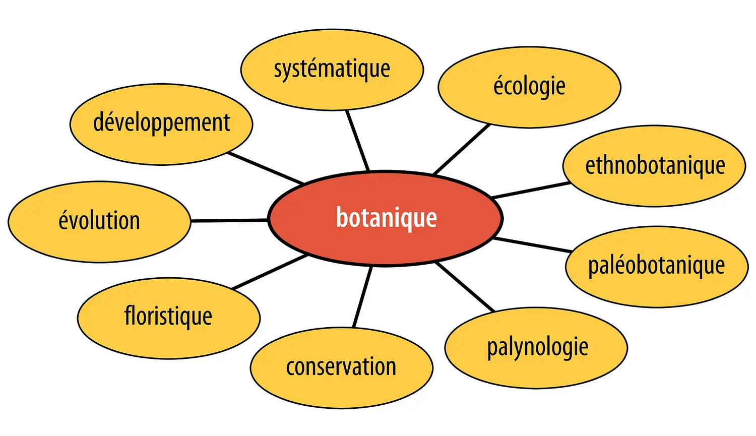 Disciplines de la botanique