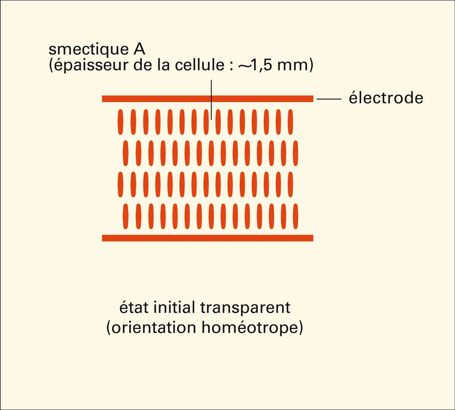 Affichage à partir d'un smectique - vue 1