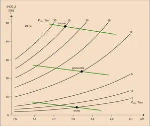 Tortue, grenouille et truite - crédits : Encyclopædia Universalis France