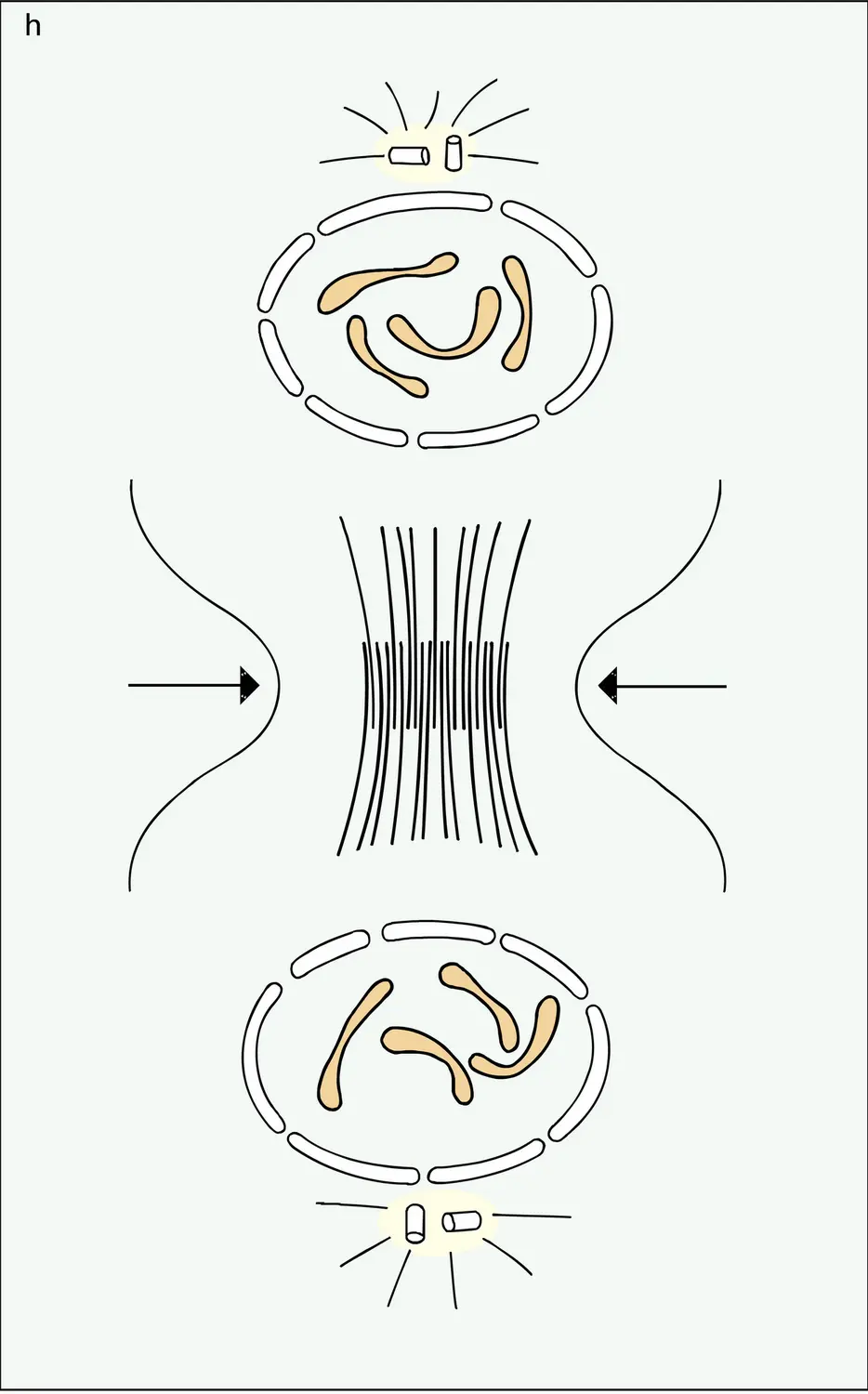 Stades - vue 8