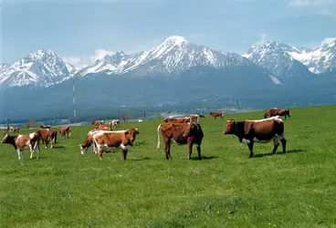 Hautes Tatras, Slovaquie - crédits : EPA/ CTK/ M. Zarnayova/ Communauté européenne