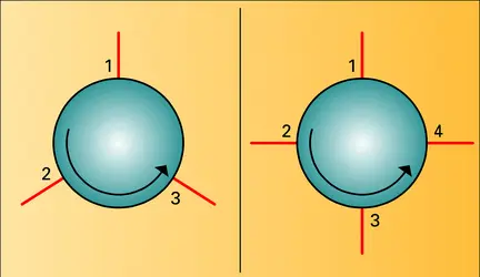 Circulateurs à 3 ou 4 voies - crédits : Encyclopædia Universalis France