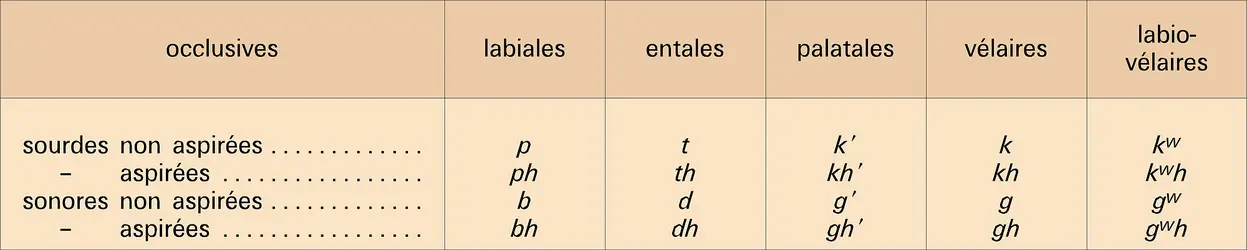 Occlusives - crédits : Encyclopædia Universalis France