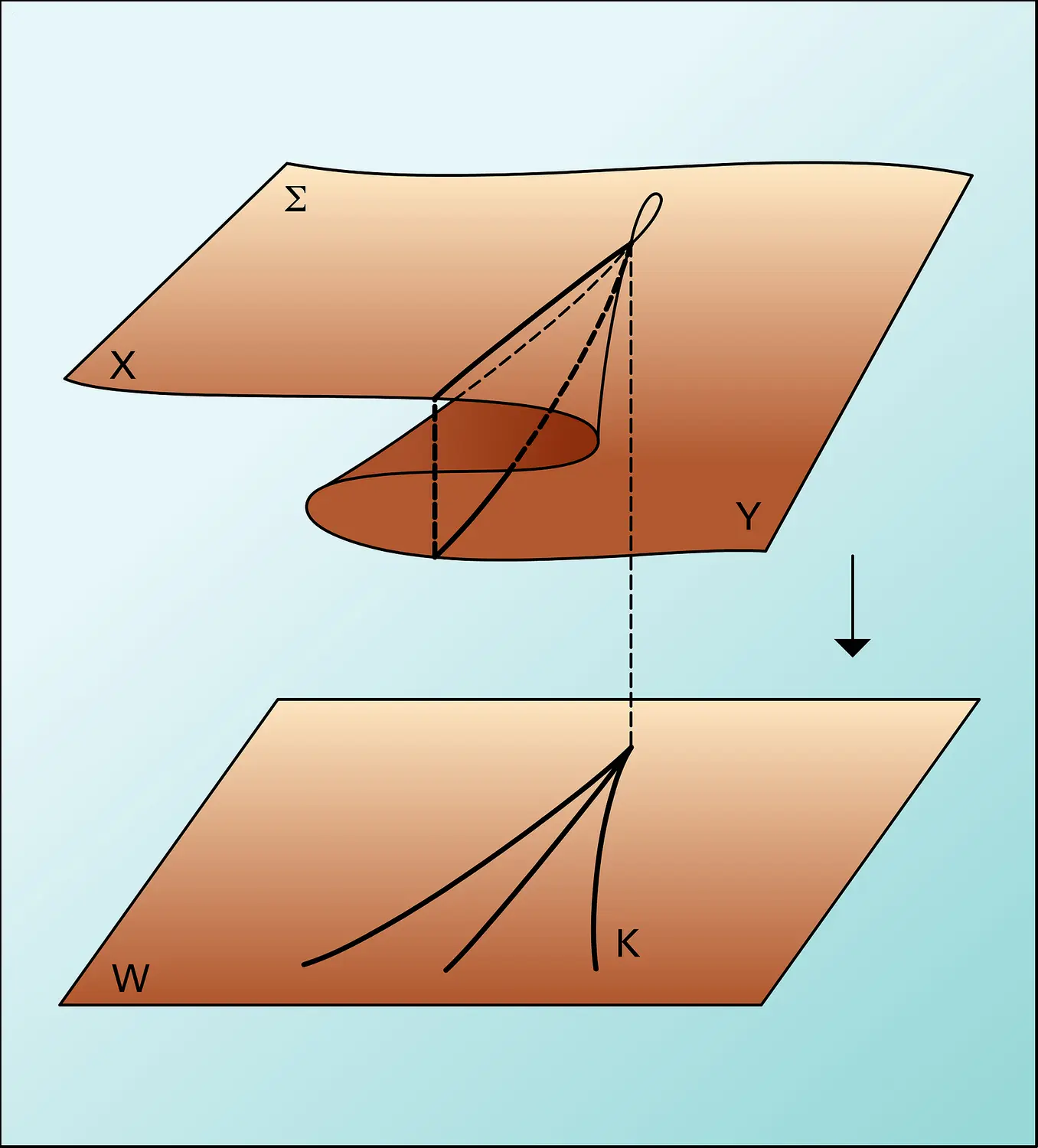 Complexité locale de type cusp, 1