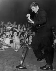 Elvis Presley, 1955 - crédits : Michael Ochs Archives/ Getty Images