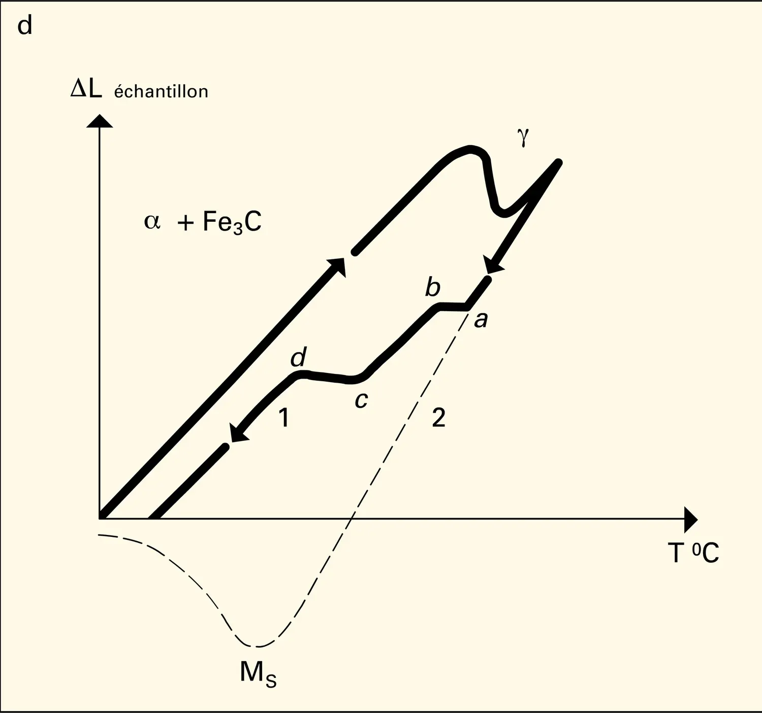 Mesures diatométriques - vue 4