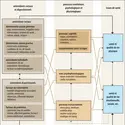 Modèle transactionnel en psychologie de la santé - crédits : Encyclopædia Universalis France