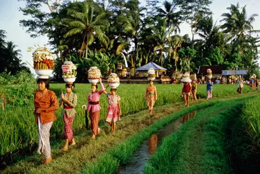 Procession, Indonésie - crédits : Nicholas DeVore/ Stone/ Getty Images