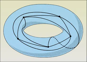 Représentation d'un graphe à 5 sommets sur le tore - crédits : Encyclopædia Universalis France