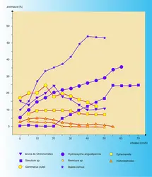 Distribution d'animaux et vitesse du courant - crédits : Encyclopædia Universalis France