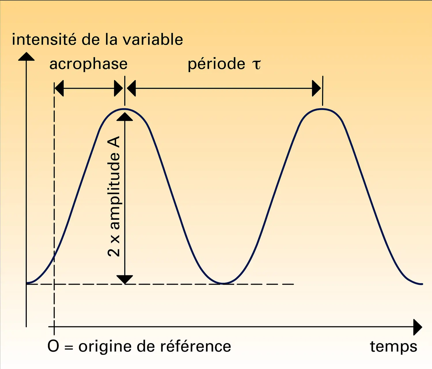 Rythme biologique : définition des paramètres