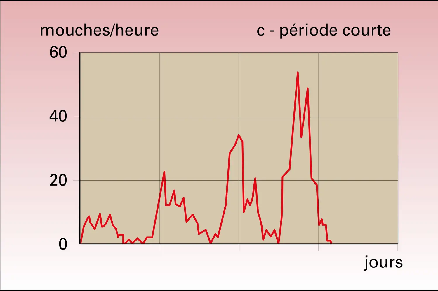 Drosophile : rythmes circadiens d'éclosion - vue 3