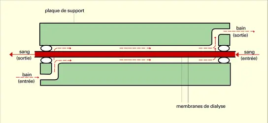 Dialyseur en plaques - crédits : Encyclopædia Universalis France