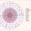 Représentation schématique du code génétique - crédits : Encyclopædia Universalis France