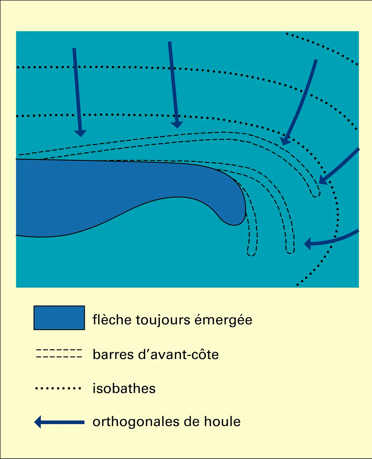 Barres d'avant-côte