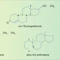 Stéroïdes : nomenclature - crédits : Encyclopædia Universalis France