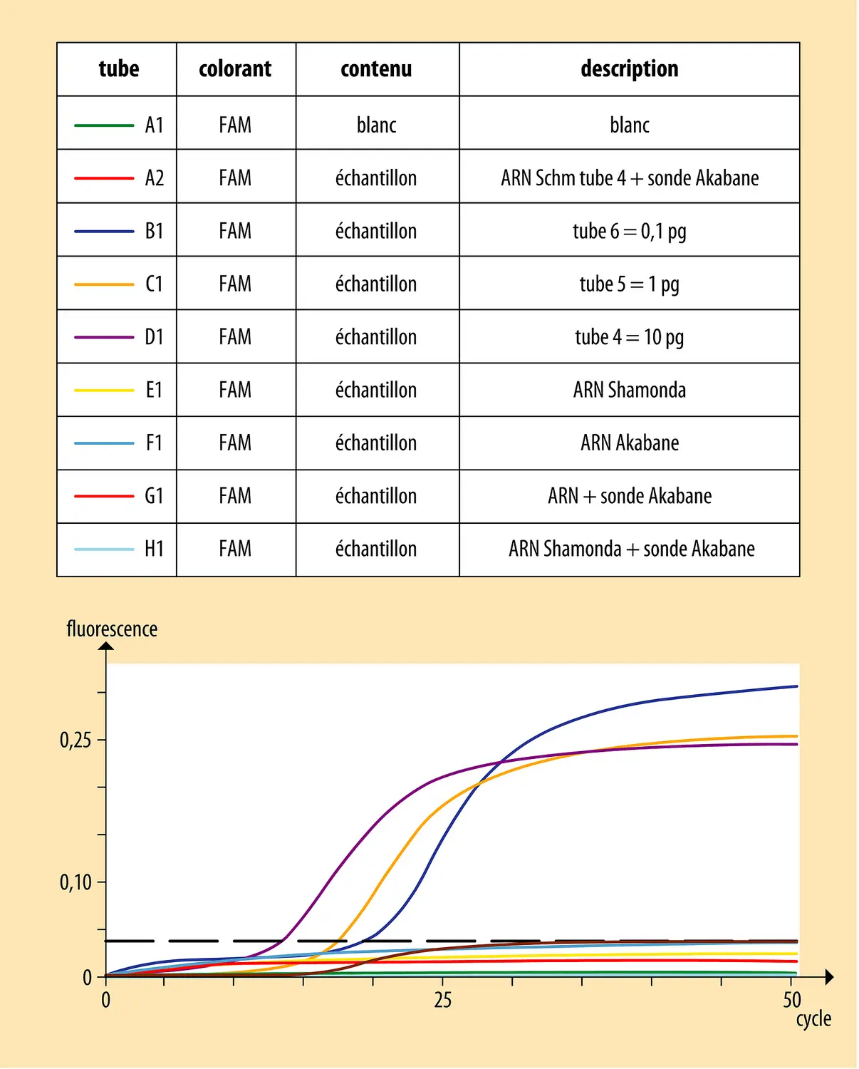 Diagnostic d’un virus émergent par RT-PCR quantitative