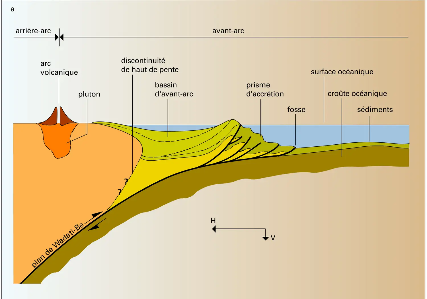 Unités morphotectoniques d'une zone de subduction - vue 1