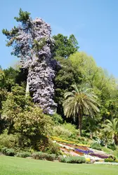 Jardin botanique de la villa Carlotta, Italie - crédits : Marie Potage