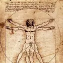 L’Homme de Vitruve, Léonard de Vinci - crédits :  Bridgeman Images 