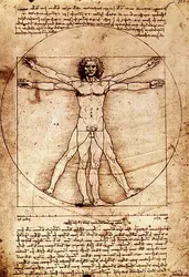 L’Homme de Vitruve, Léonard de Vinci - crédits :  Bridgeman Images 