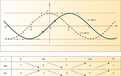Fonctions sinus et cosinus - crédits : Encyclopædia Universalis France