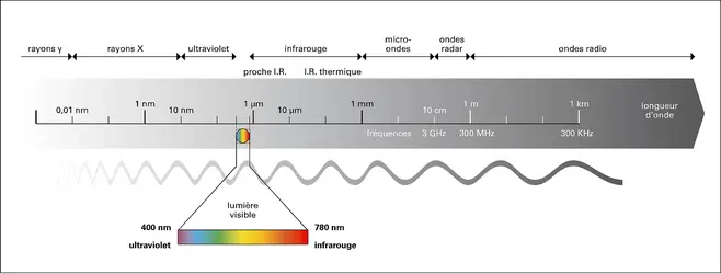 Ondes électromagnétiques - crédits : Encyclopædia Universalis France