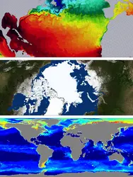 Prévisions océanographiques - crédits : EU Copernicus Marine Service/ Mercator Océan