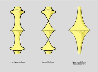 Surfaces pseudosphériques de révolution - crédits : Encyclopædia Universalis France