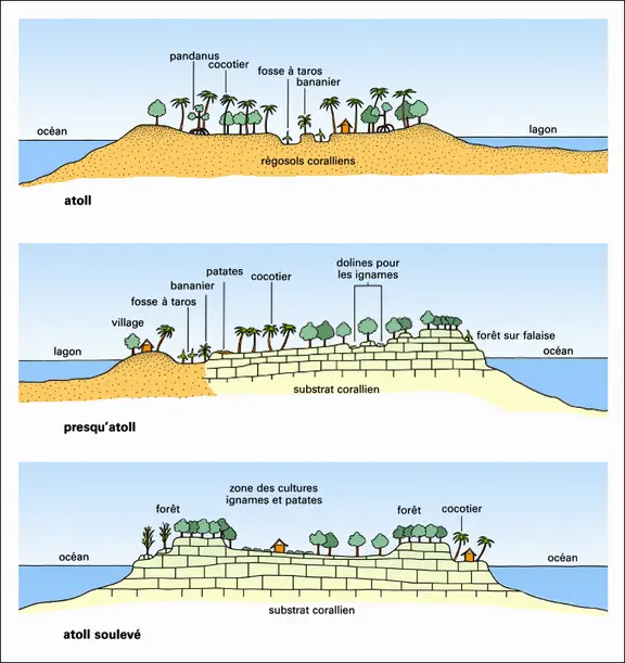 Types d'aménagement agraire en Océanie insulaire (1)