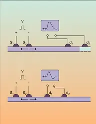 Potentiel d'action - crédits : Encyclopædia Universalis France