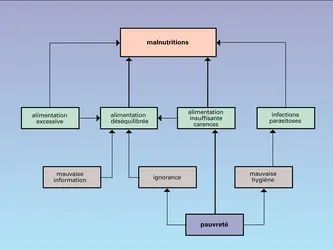 Malnutrition - crédits : Encyclopædia Universalis France