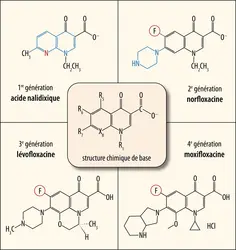 Relation structure-activité de la famille des quinolones-fluoroquinolones - crédits : Encyclopædia Universalis France