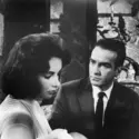 Elizabeth Taylor et Montgomery Clift - crédits : 1960 Columbia Pictures Corporation/ Collection privée