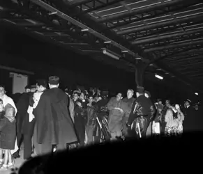 Manifestation du 17 octobre 1961 à Paris - crédits : Jacques Boissay/ AKG-images