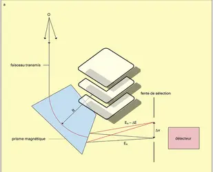 Spectrométrie des pertes d'énergie - crédits : Encyclopædia Universalis France