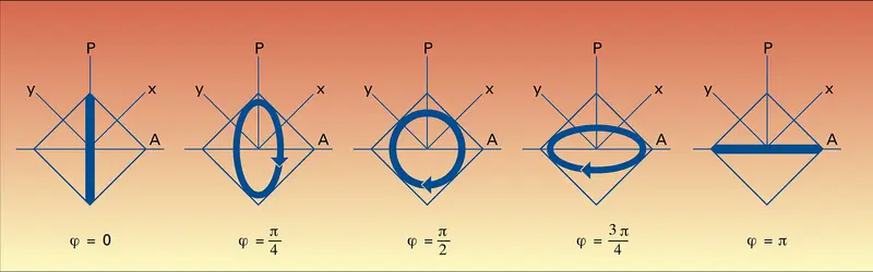 Vibrations - crédits : Encyclopædia Universalis France