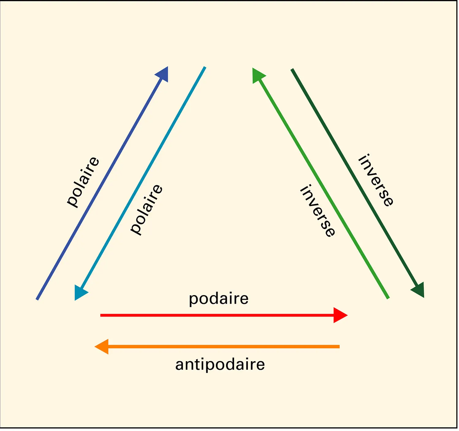 Relations entre polaire, podaire et inverse