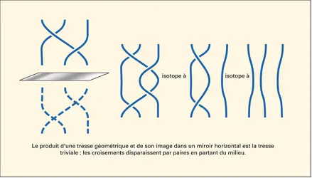 Inversion d'une tresse - crédits : Encyclopædia Universalis France