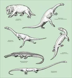 Trias : reptiles - crédits : Encyclopædia Universalis France